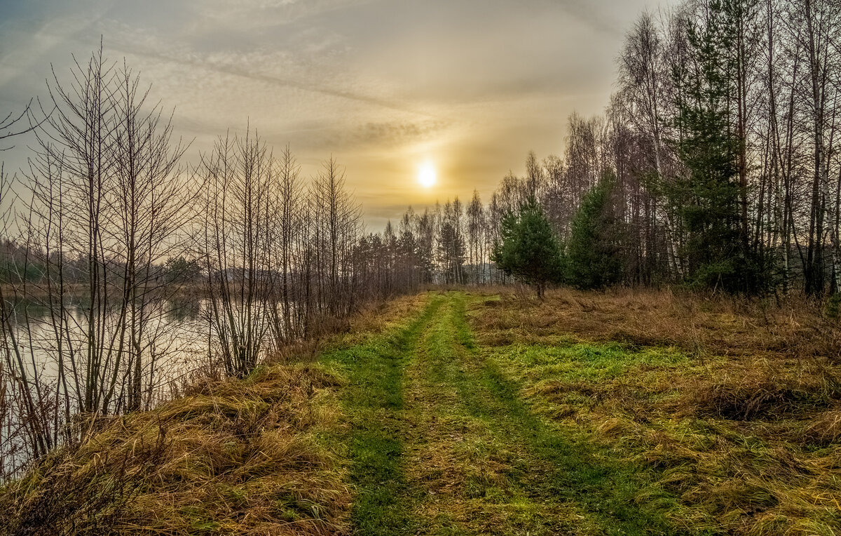 Во такая зима в Подмосковье 9 - Андрей Дворников