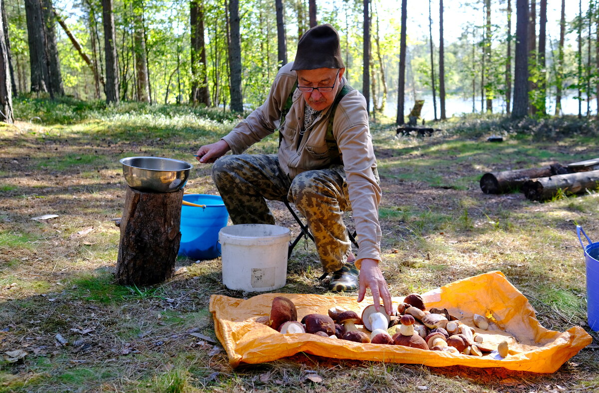 Грибочки - Андрей Зайцев Грибочки - Андрей Зайцев