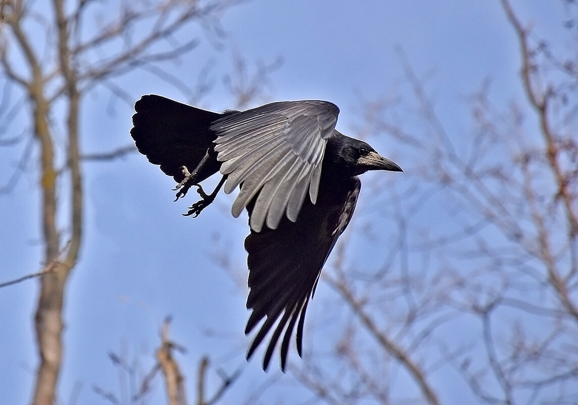 В полёте! - Валентина Нефёдова В полёте! - Валентина Нефёдова