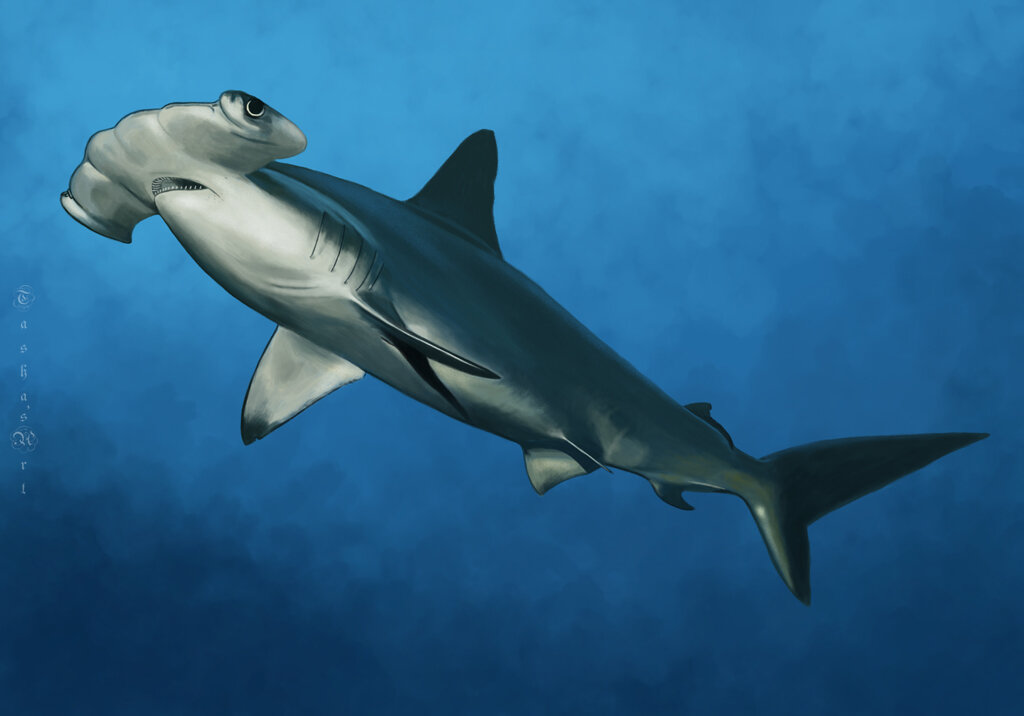 Рыба-молот - Наталия Львова