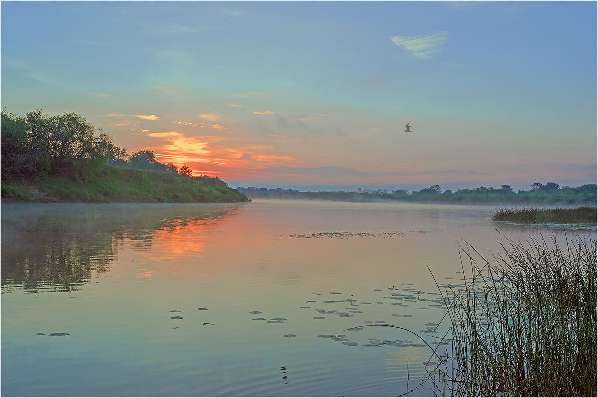 Июньский рассвет на Чепце - Валентин Котляров Июньский рассвет на Чепце - Валентин Котляров