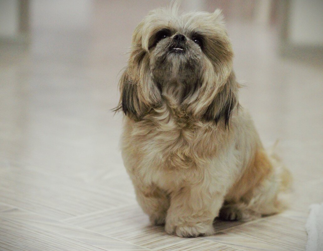 Сейчас, тебя поймаю! - Юрий Полторыхин.