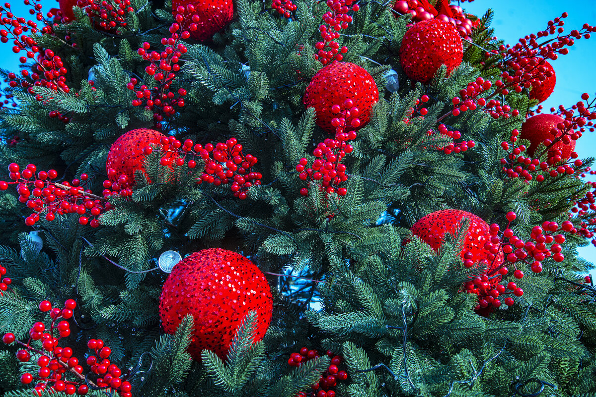 Игрушки - Анатолий Чикчирный