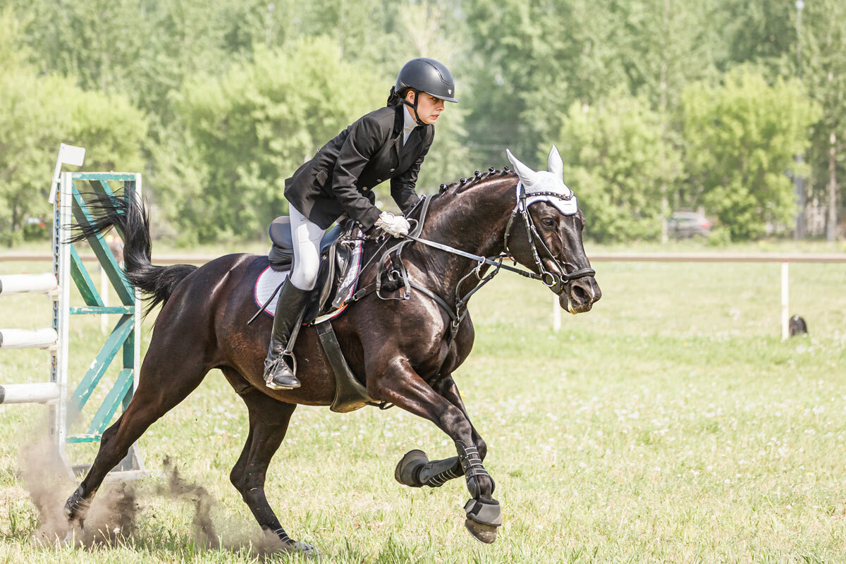 Конкур - SanSan 