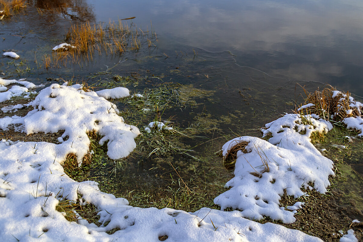 У берега - Сергей Цветков У берега - Сергей Цветков