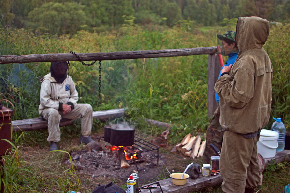 Мошка жрёт. - ВикТор Быстров Мошка жрёт. - ВикТор Быстров