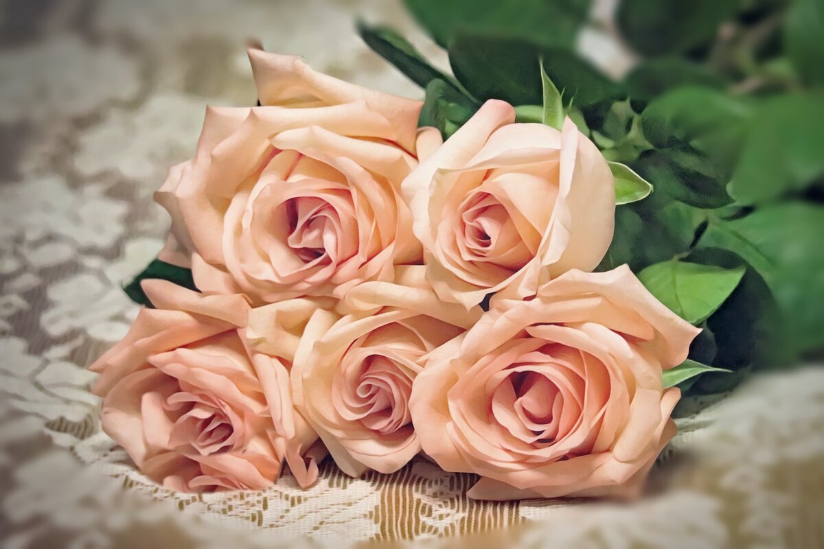 Всем добрым людям! - Marina Pavlova Всем добрым людям! - Marina Pavlova