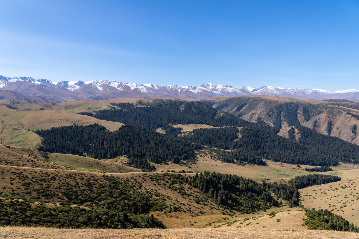 Казахстан. Плато Ассы. - Андрей Щукин
