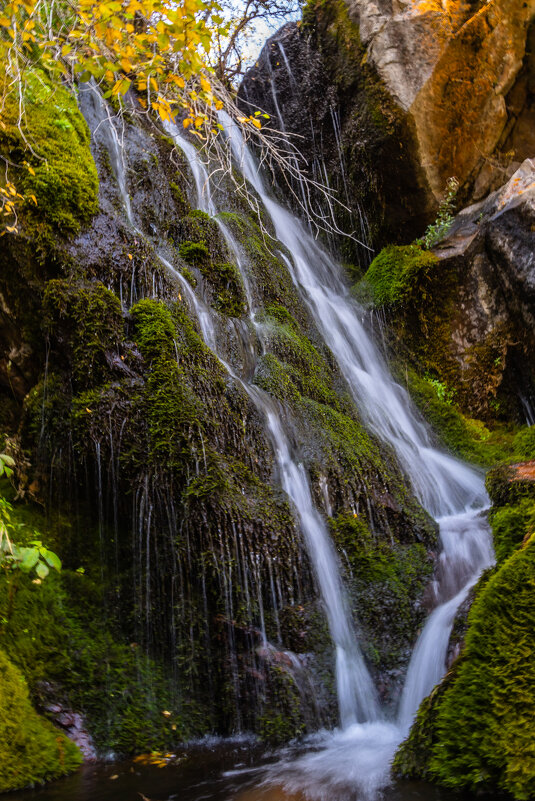 Казахстан. - Андрей Щукин
