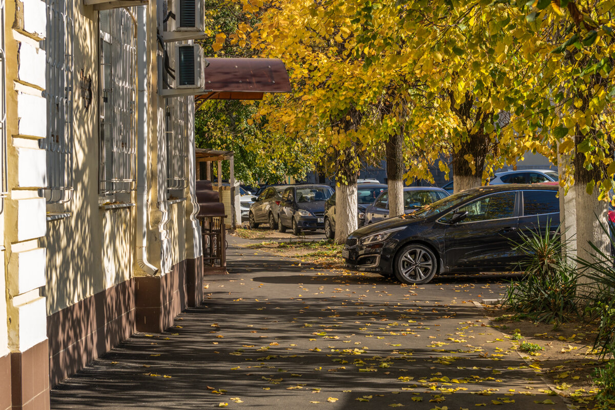 Прогулка по городу в октябре - Игорь Сикорский Прогулка по городу в октябре - Игорь Сикорский