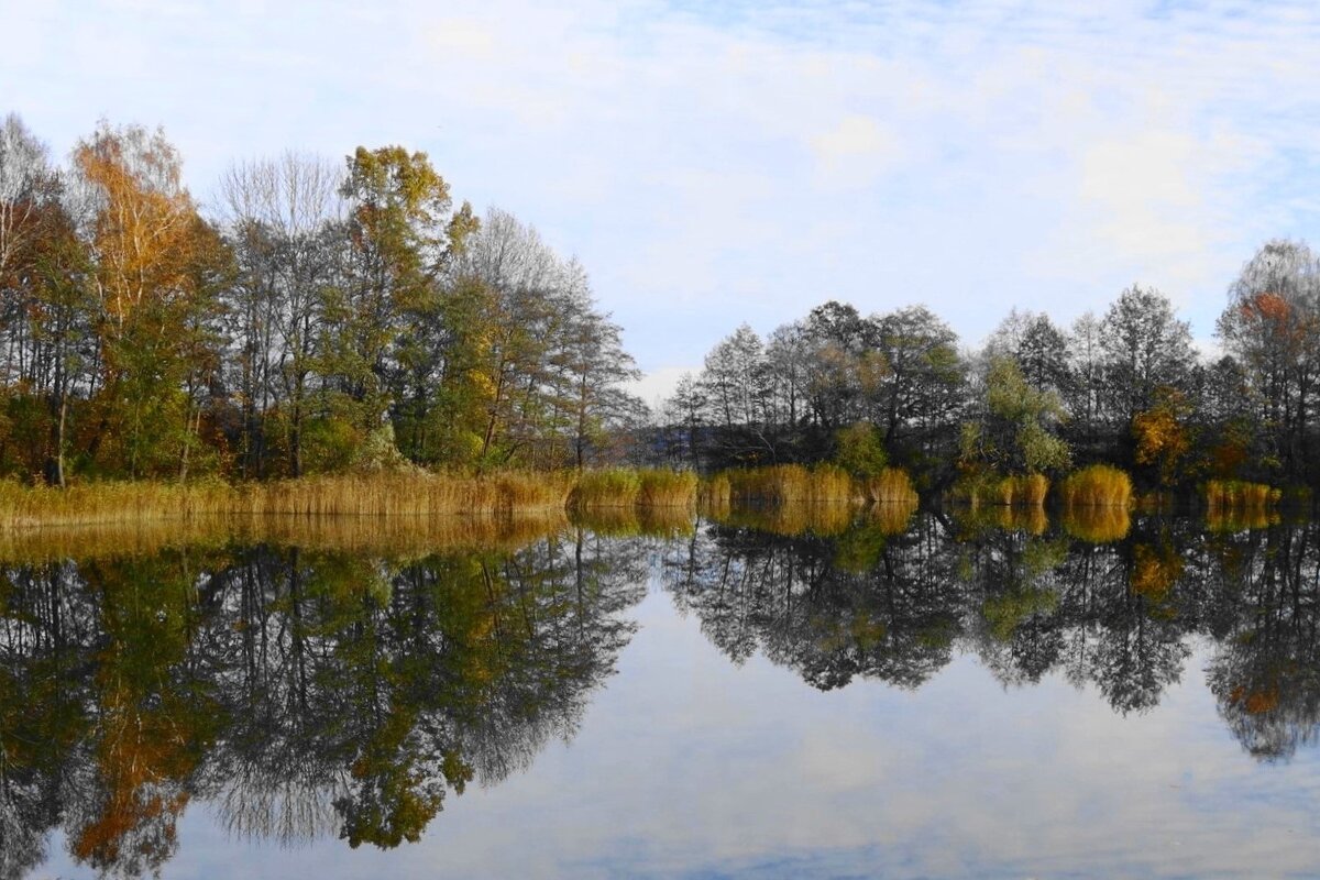 Ноябрь - Рита Симонова