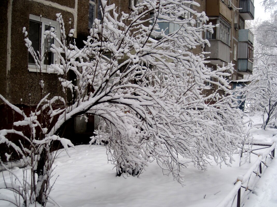 Зимой - Елена Семигина