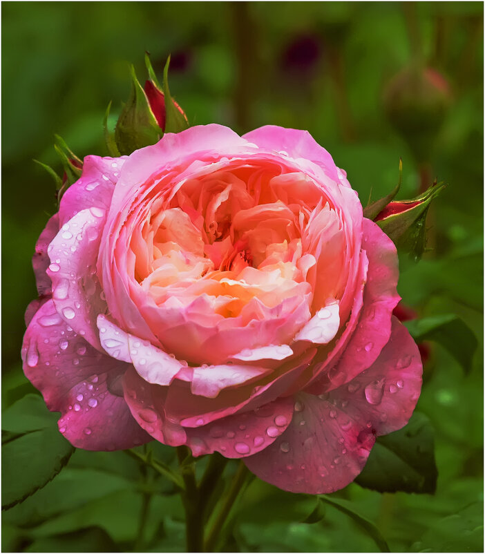 После душа - Валентин Котляров После душа - Валентин Котляров