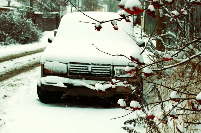 "подснежник".... - Сергей 