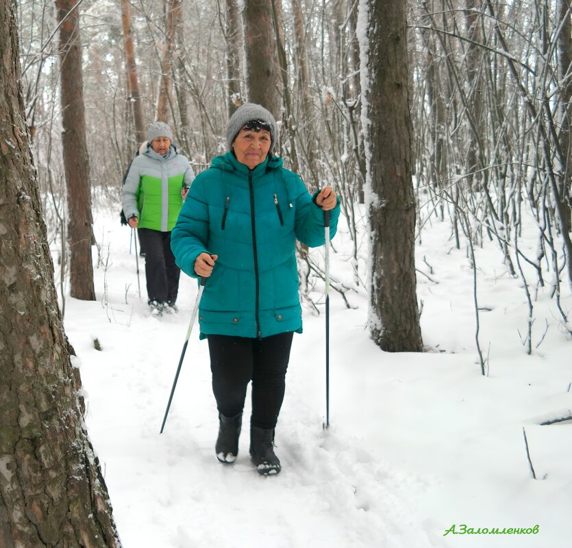 И первый снег почуя, по-скандинавски бабки по лесу бегут...:-) - Андрей Заломленков И первый снег почуя, по-скандинавски бабки по лесу бегут...:-) - Андрей Заломленков