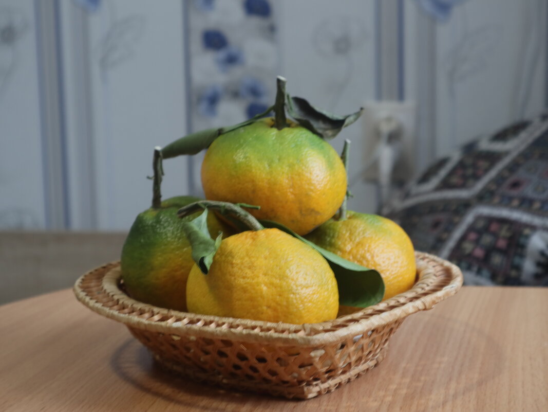 скоро новый год - Александра [-/ скоро новый год - Александра [-/