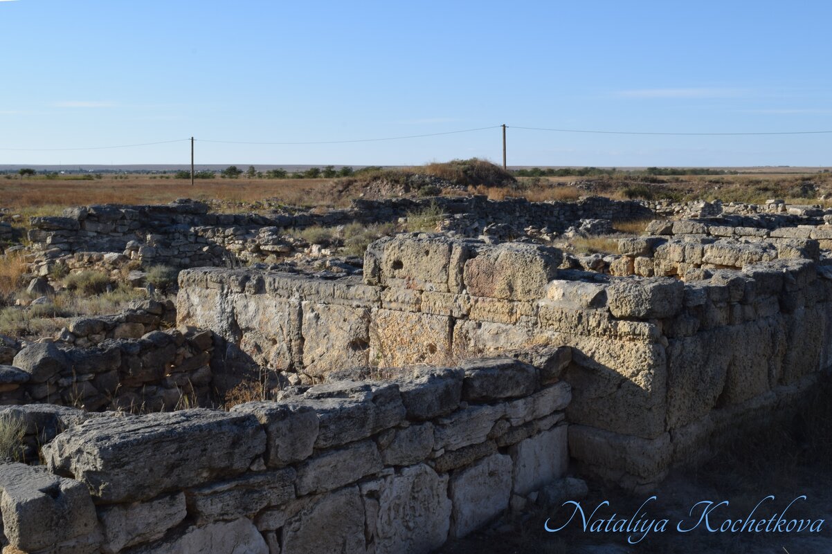 Природа Крыма - Amazing Cosmea