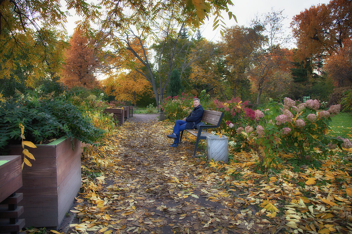 В райском садике. - Лилия * В райском садике. - Лилия *