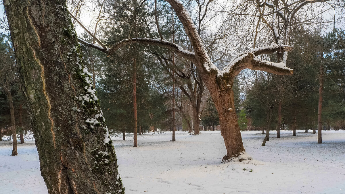 ***** - юрий поляков