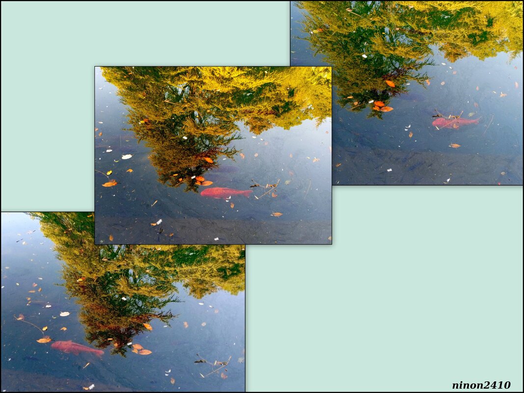 Адлер. Дендропарк "Южные культуры" - Нина Бутко Адлер. Дендропарк "Южные культуры" - Нина Бутко