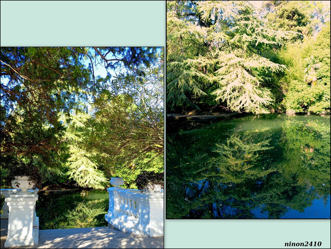 Адлер. Дендропарк "Южные культуры" - Нина Бутко Адлер. Дендропарк "Южные культуры" - Нина Бутко