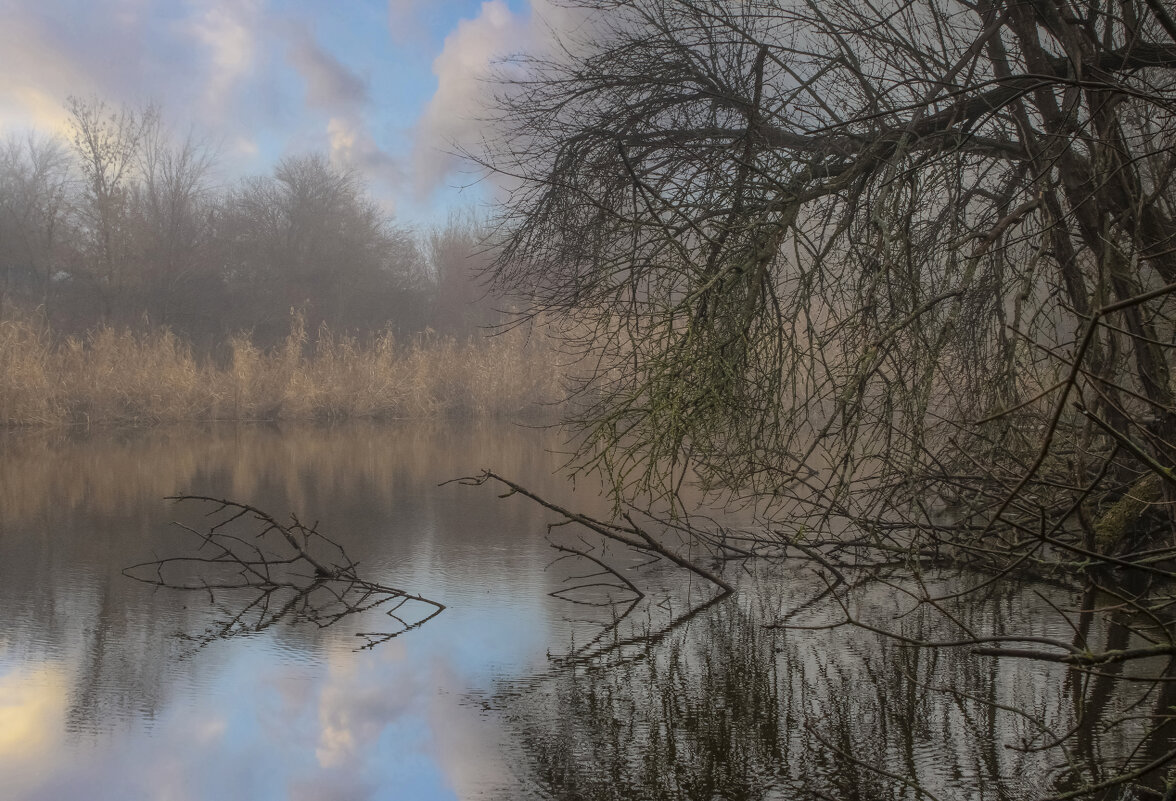 Утро. - Александр. AVG100 --- Утро. - Александр. AVG100 ---