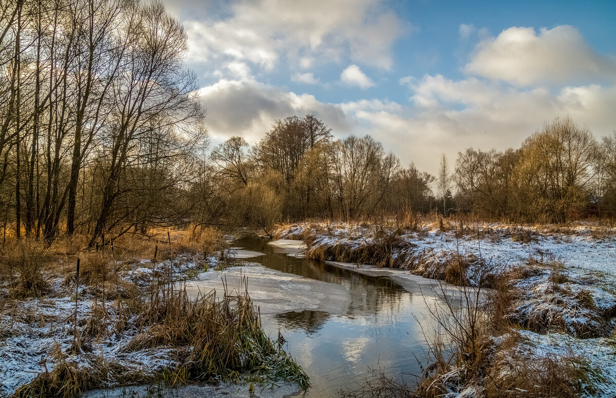 Подмосковный декабрь - Андрей Дворников Подмосковный декабрь - Андрей Дворников