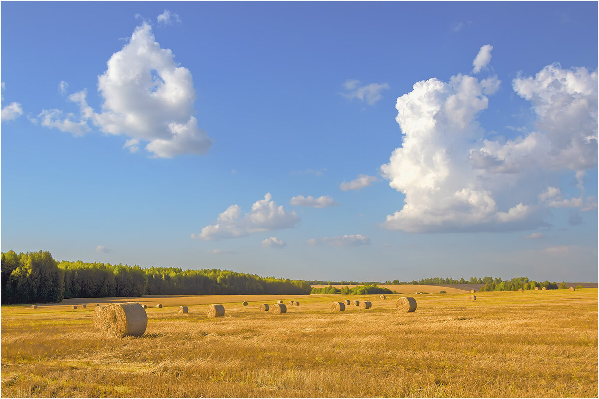 Знойный август - Валентин Котляров