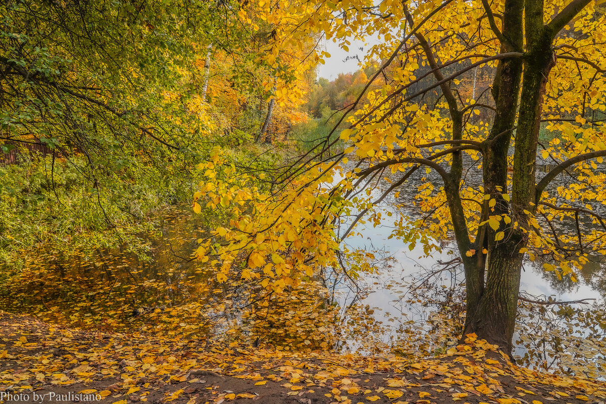 Осенний пруд... - Владимир Жданов Осенний пруд... - Владимир Жданов