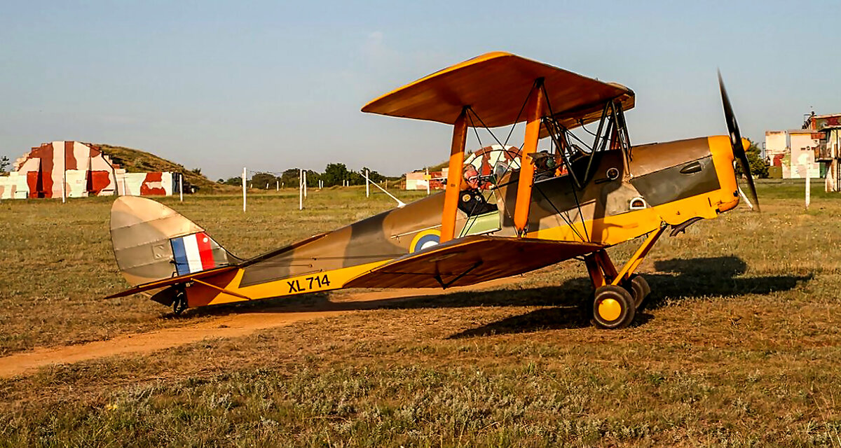 Тайгер мот. - Сергей Воротников Тайгер мот. - Сергей Воротников