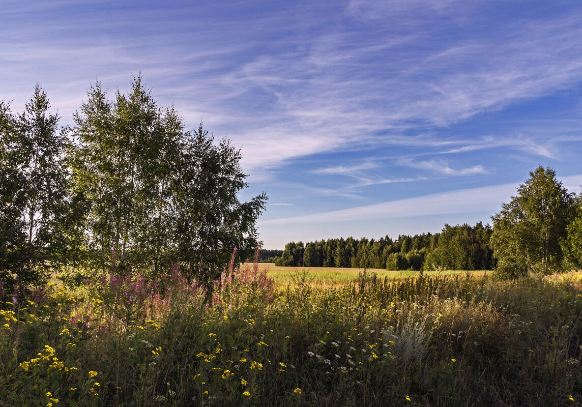 Лето . - Александр Иванович Шитов