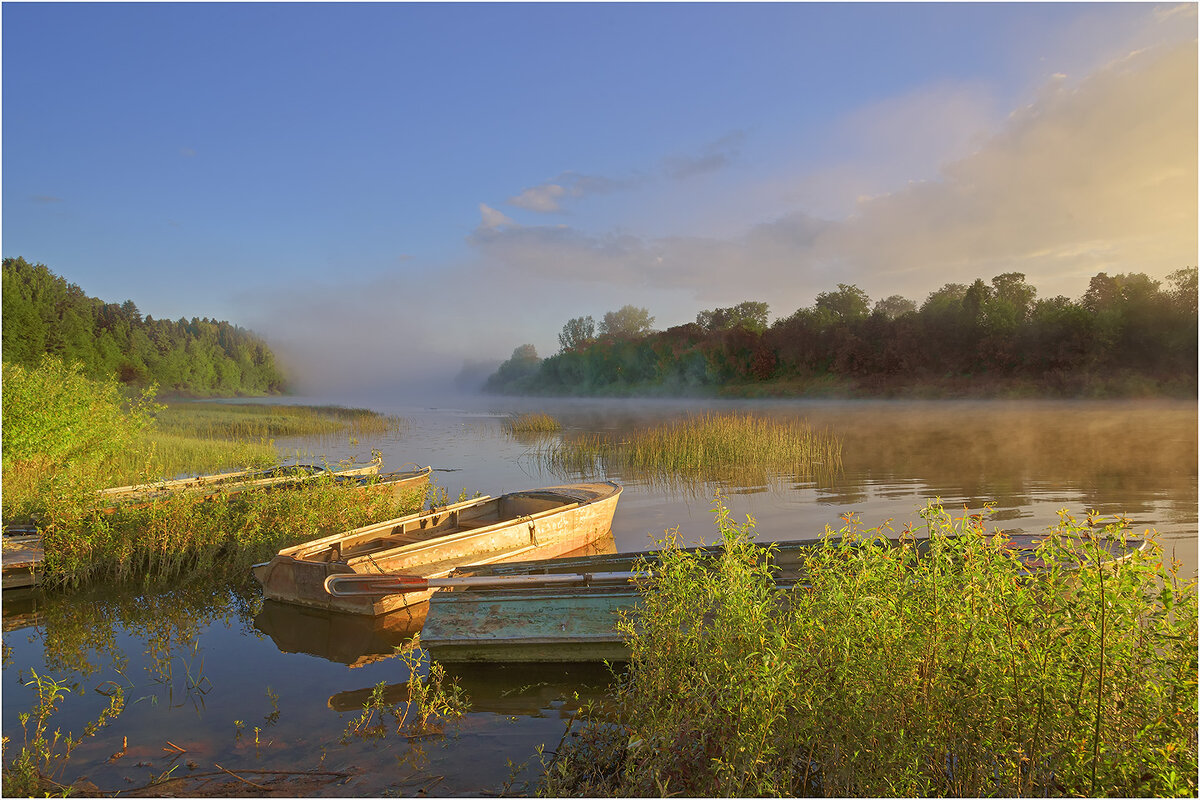 Летнее утро - Валентин Котляров