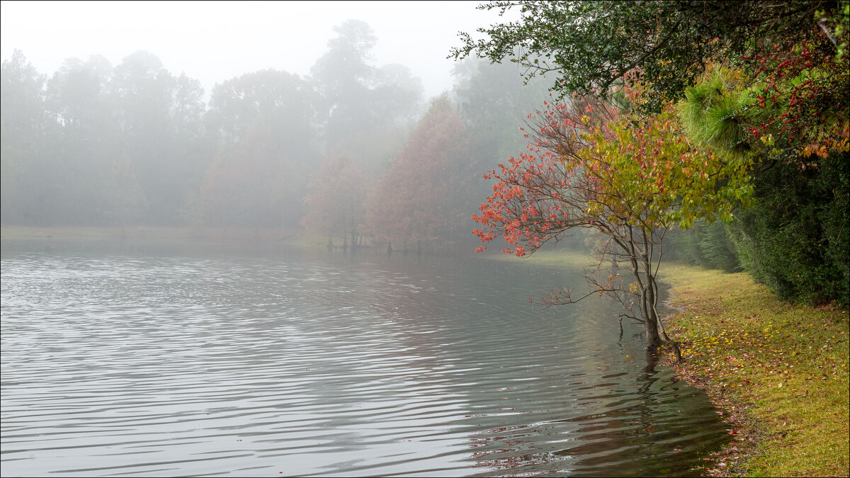 Утро - **** vedin