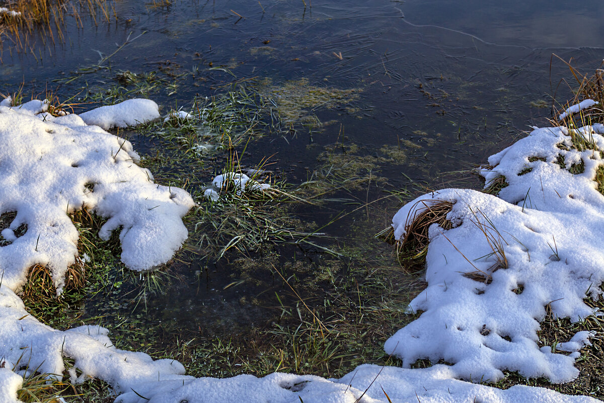 У берега - Сергей Цветков У берега - Сергей Цветков