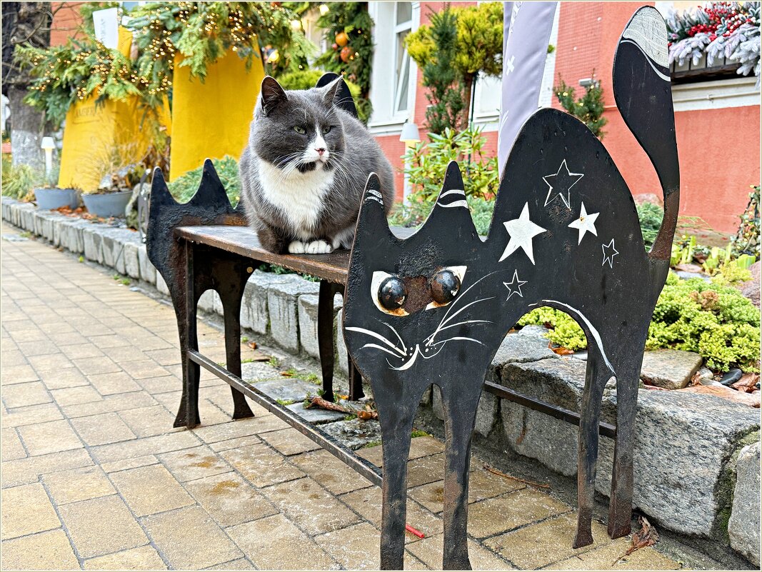 На скамеечке. - Валерия Комова На скамеечке. - Валерия Комова