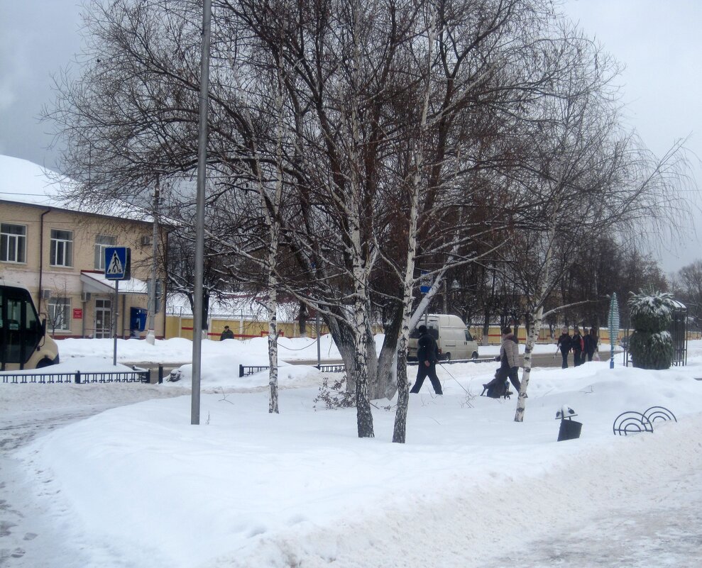 Мой город зимой - Елена Семигина