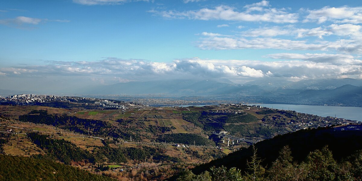 *** - веселов михаил 