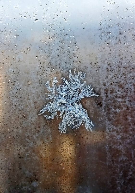 В гостях - ученик Деда Мороза! - Валентина Нефёдова В гостях - ученик Деда Мороза! - Валентина Нефёдова