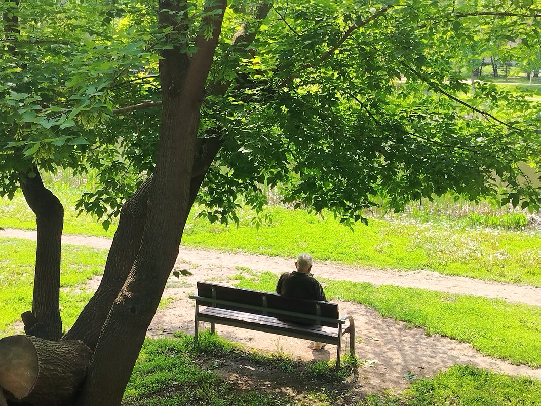 В тенечке - Надежда В тенечке - Надежда