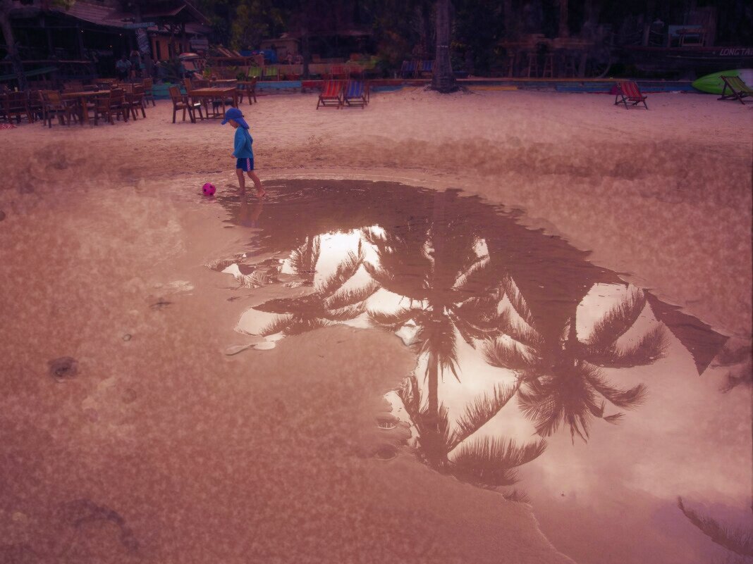 После дождя - liudmila drake