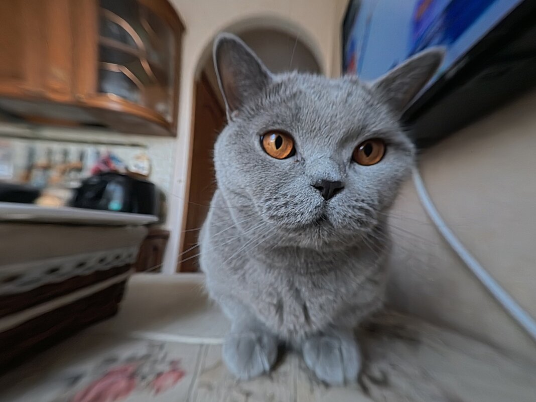 Под углом 157 градусов. - Лютый Дровосек Под углом 157 градусов. - Лютый Дровосек