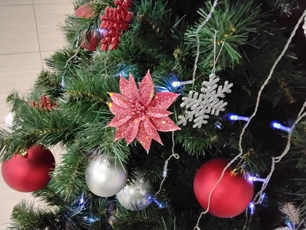 Новогодняя красота - Дмитрий Никитин Новогодняя красота - Дмитрий Никитин