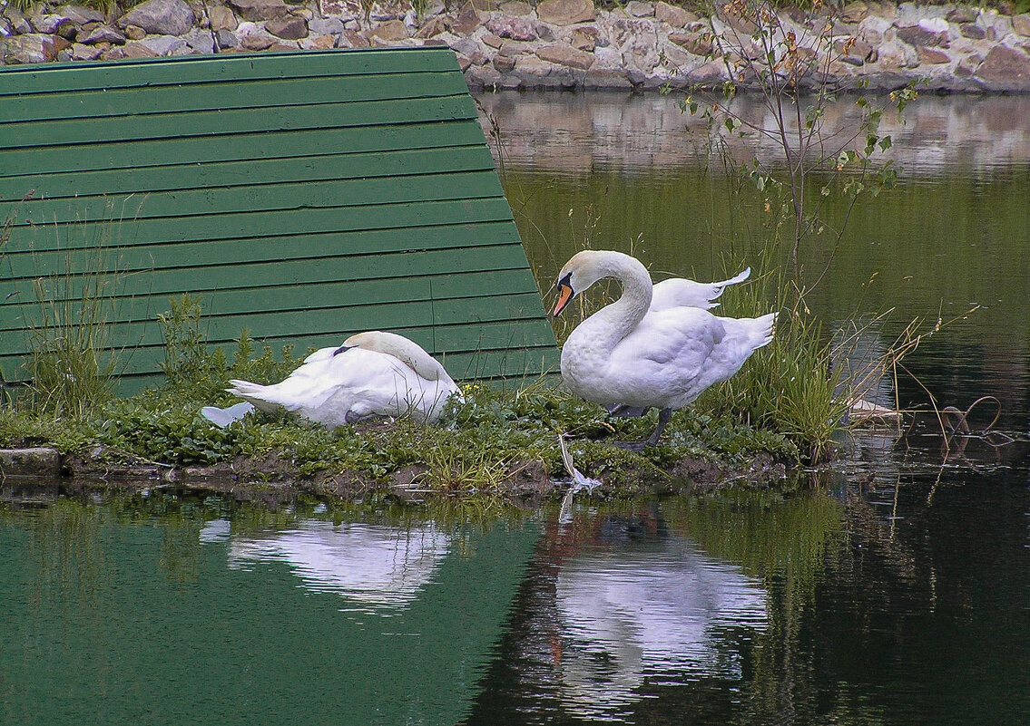 любимая, спи! - Владимир Зеленцов любимая, спи! - Владимир Зеленцов