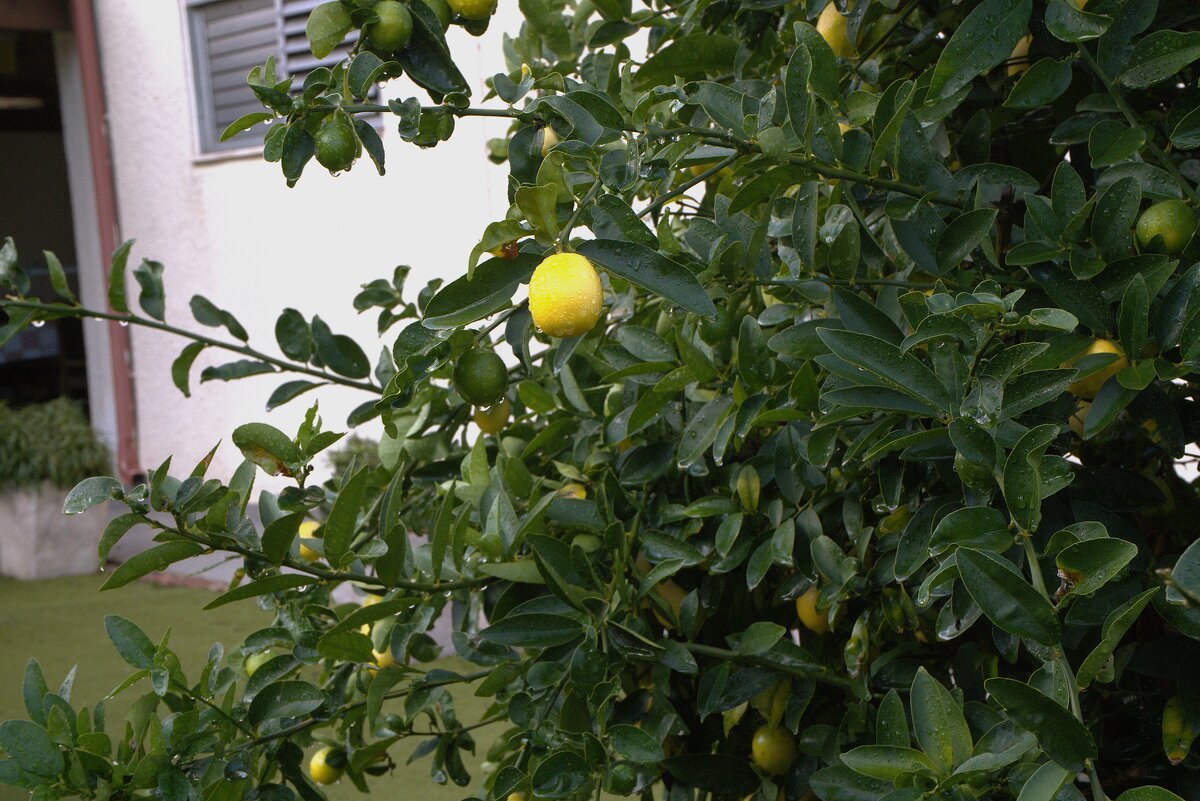 толи весна, толи зима - ujgcvbif 