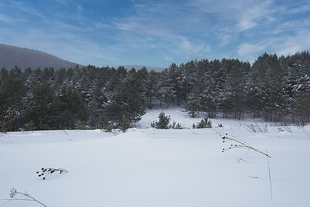 Аргинский заказник - Владимир Кириченко