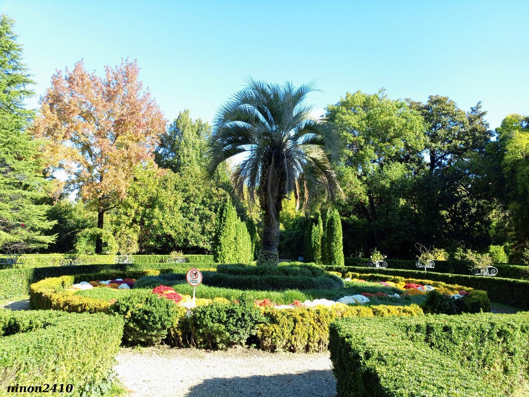 Адлер. Дендропарк "Южные культуры" - Нина Бутко Адлер. Дендропарк "Южные культуры" - Нина Бутко