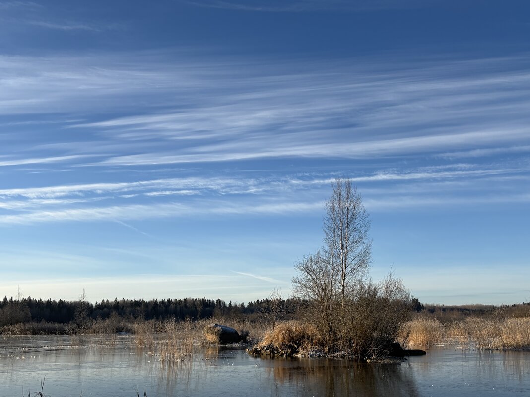 Чудесный день - Ольга Савельева 