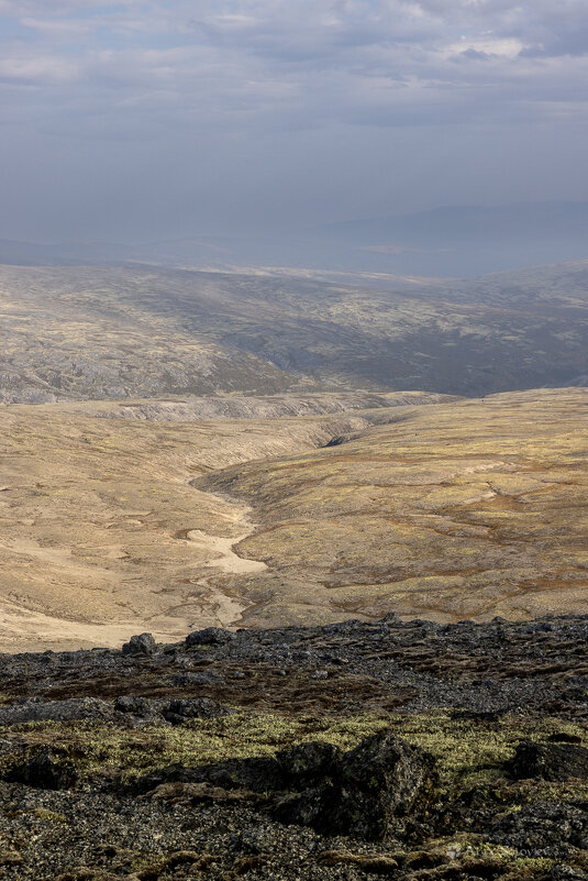 **** - Алексей Соловьев