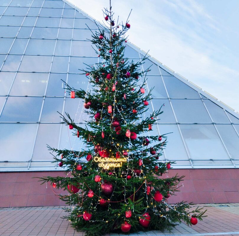 Предновогодний Витебск - Галина Бобкина