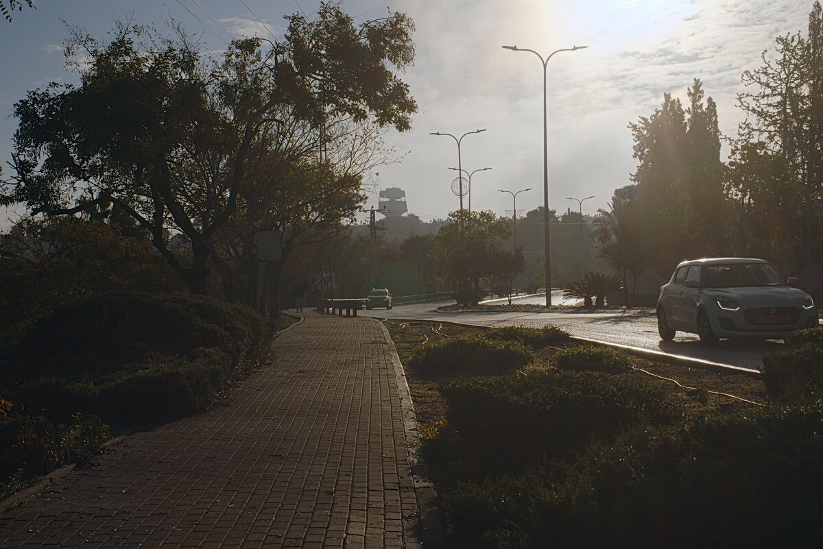 Утро  *Мигдаль аЭмек 2025г - ujgcvbif 